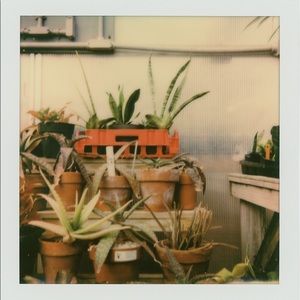 Meet your Posher, Sam